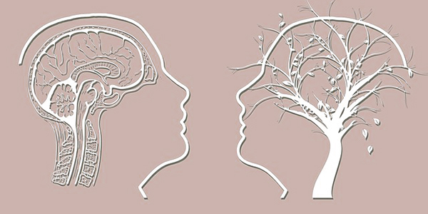 Σκίτσο που απεικονίζει 2 εγκεφάλους, ο ένας σε διαδικασία σκέψης και ο άλλος που αντικαθίσταται με δέντρο που ανθίζει